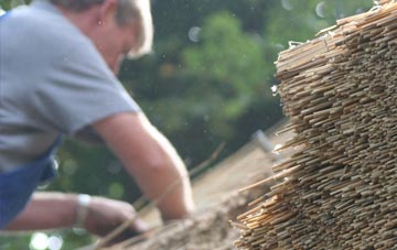 professional Stanford Rivers thatchers